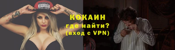 сатива Лагань