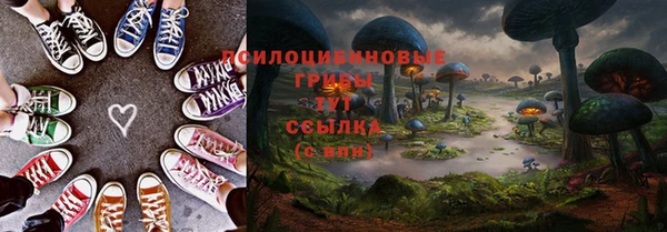 сатива Лагань