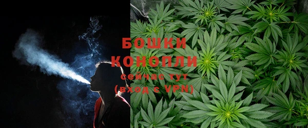 сатива Лагань