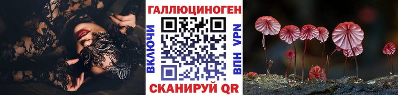 Псилоцибиновые грибы Psilocybine cubensis  Купить закладки  Новоузенск 